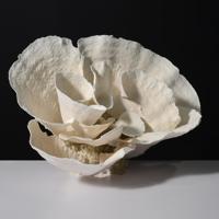 Large Coral Assemblage , Sculpture - Sold for $1,408 on 11-16-2025 (Lot 554).jpg
